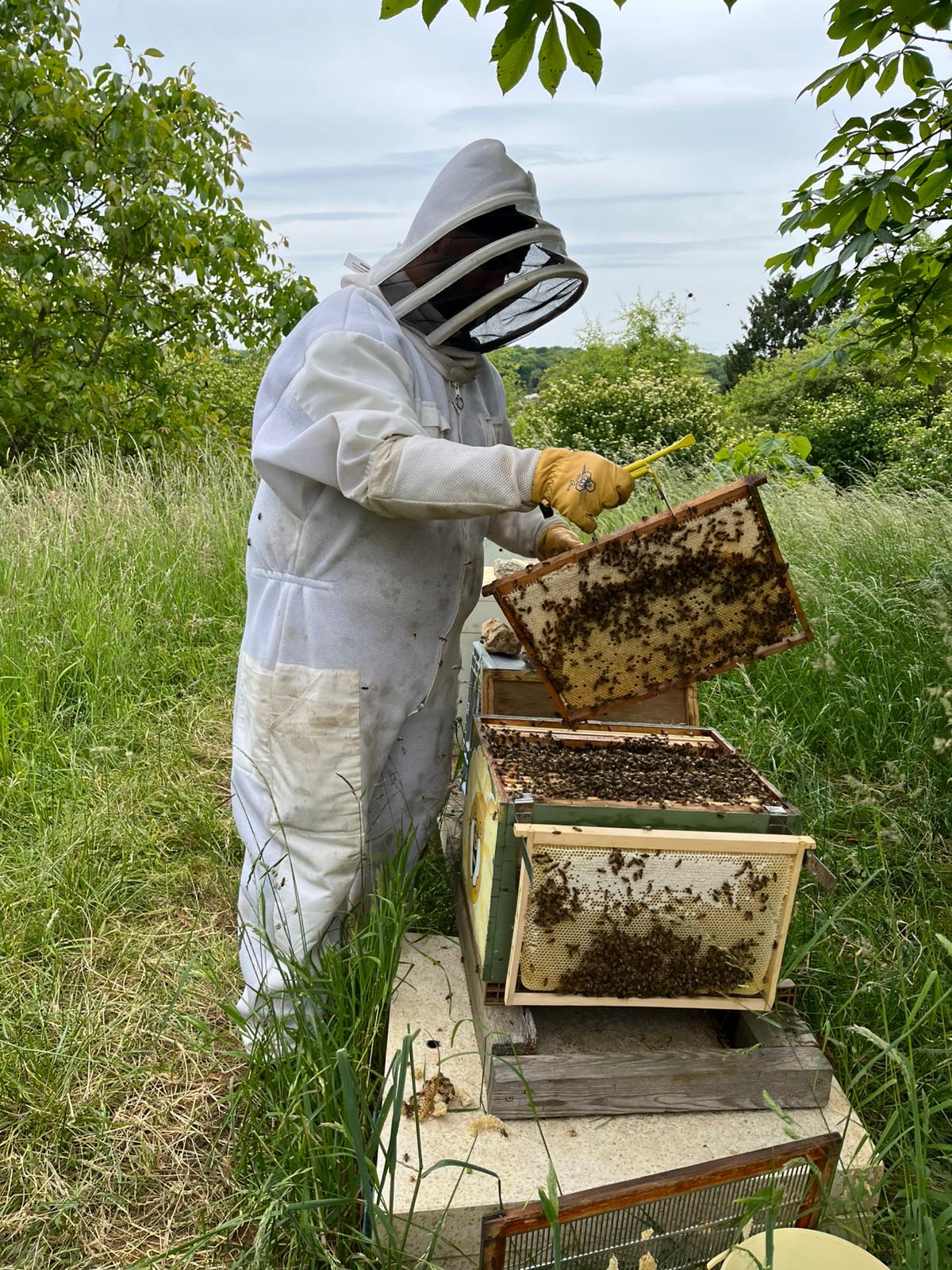 Apiculteur au rucher de La Ruche Gourmande